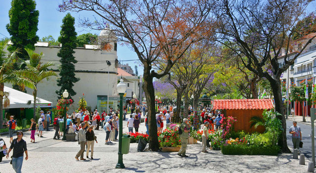 Funchal city during Flower Festival