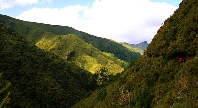 Levada Rabaçal view