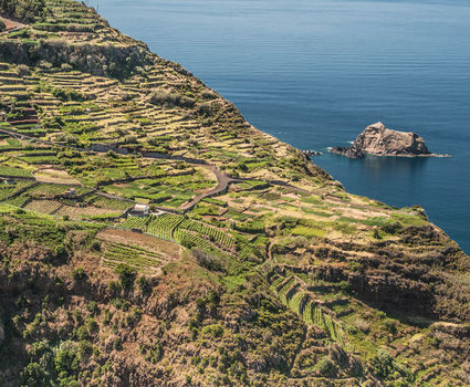 Madeira Vineyards improbable terraces