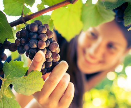 Girl in Madeira Wineyard 