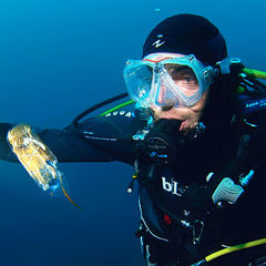 Diving at Sao Lourenco