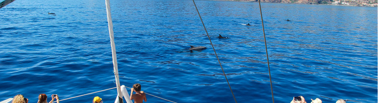 people-catamaran-sea-blue