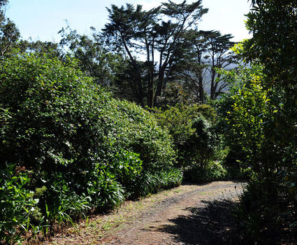 Quinta Cova do Millho exterior garden