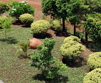 Quinta Cova do Millho garden