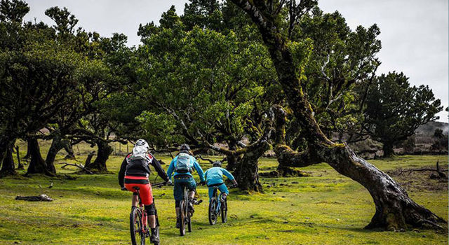 Riding a bike in Fanal