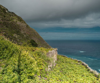 Ribeira da Janela Vineyards, Madeira Wine 