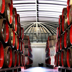 Vinhos Barbeito Cellar