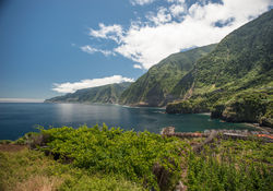 Madeira Wine, Seixal Vineyards